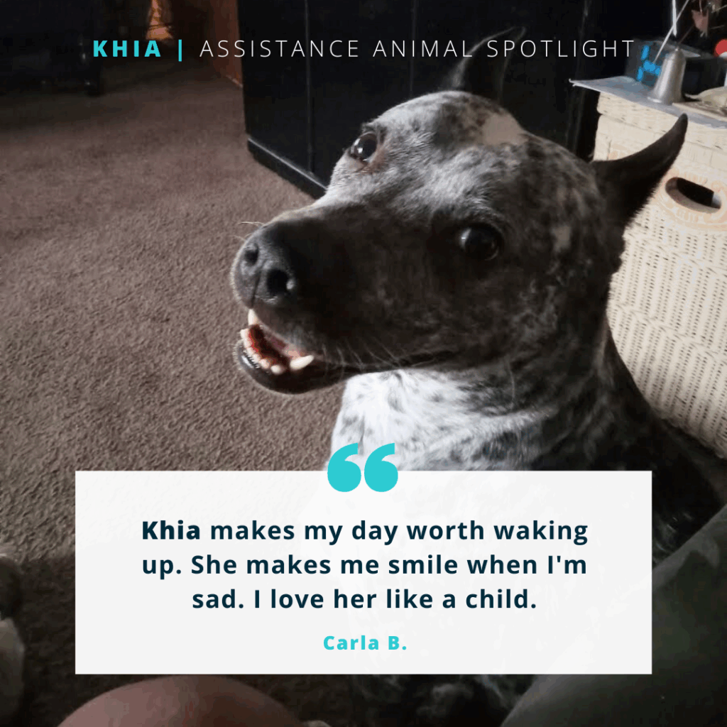 Khia | Assistance Animal

A black and white speckled dog appears to be smiling. 

Quote reads: "Khia makes my day worth waking up. She makes me smile when I'm sad. I love her like a child." - Carla B.